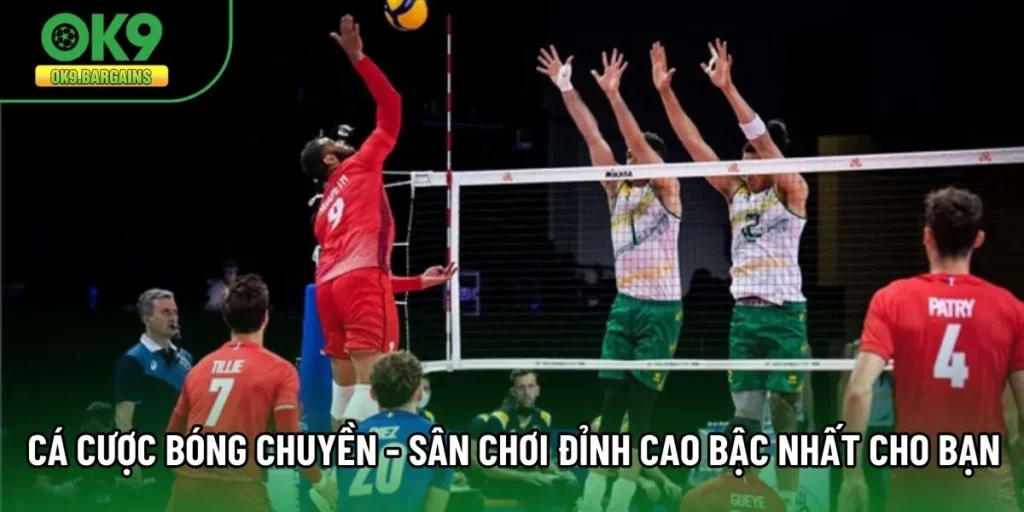 Cá Cược Bóng Chuyền - Sân Chơi Đỉnh Cao Bậc Nhất Cho Bạn