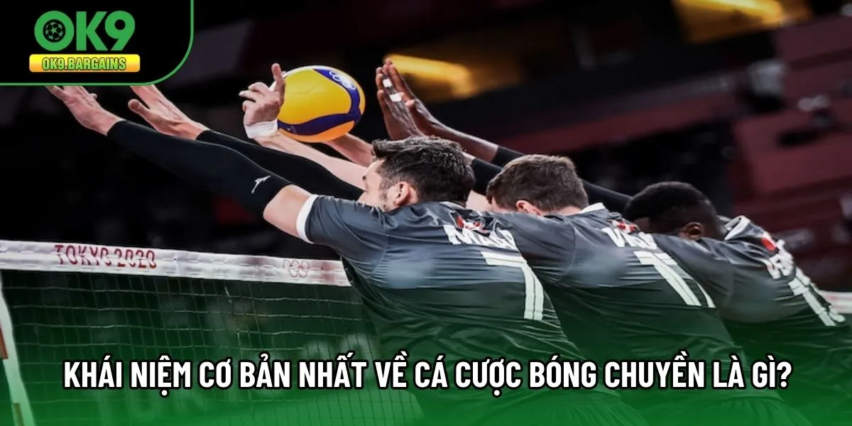 Khái niệm cơ bản nhất về cá cược bóng chuyền là gì?