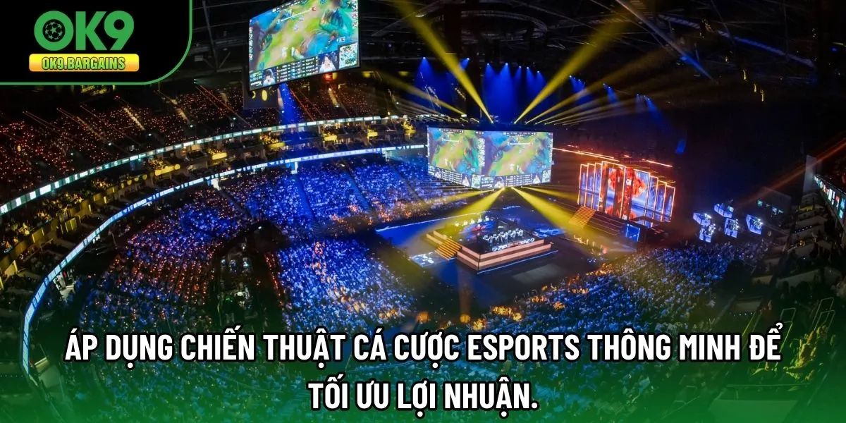 Áp dụng chiến thuật Cá Cược Esports thông minh để tối ưu lợi nhuận