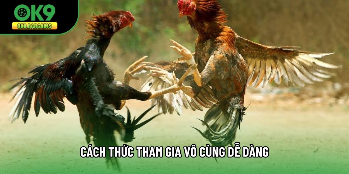 Cách thức tham gia vô cùng dễ dàng