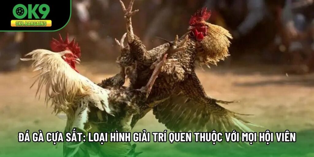 Đá Gà Cựa Sắt: Loại Hình Giải Trí Quen Thuộc Với Mọi Hội Viên