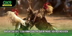 Đá Gà Cựa Sắt: Loại Hình Giải Trí Quen Thuộc Với Mọi Hội Viên