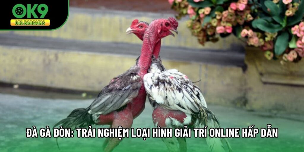 Đà Gà Đòn: Trải Nghiệm Loại Hình Giải Trí Online Hấp Dẫn