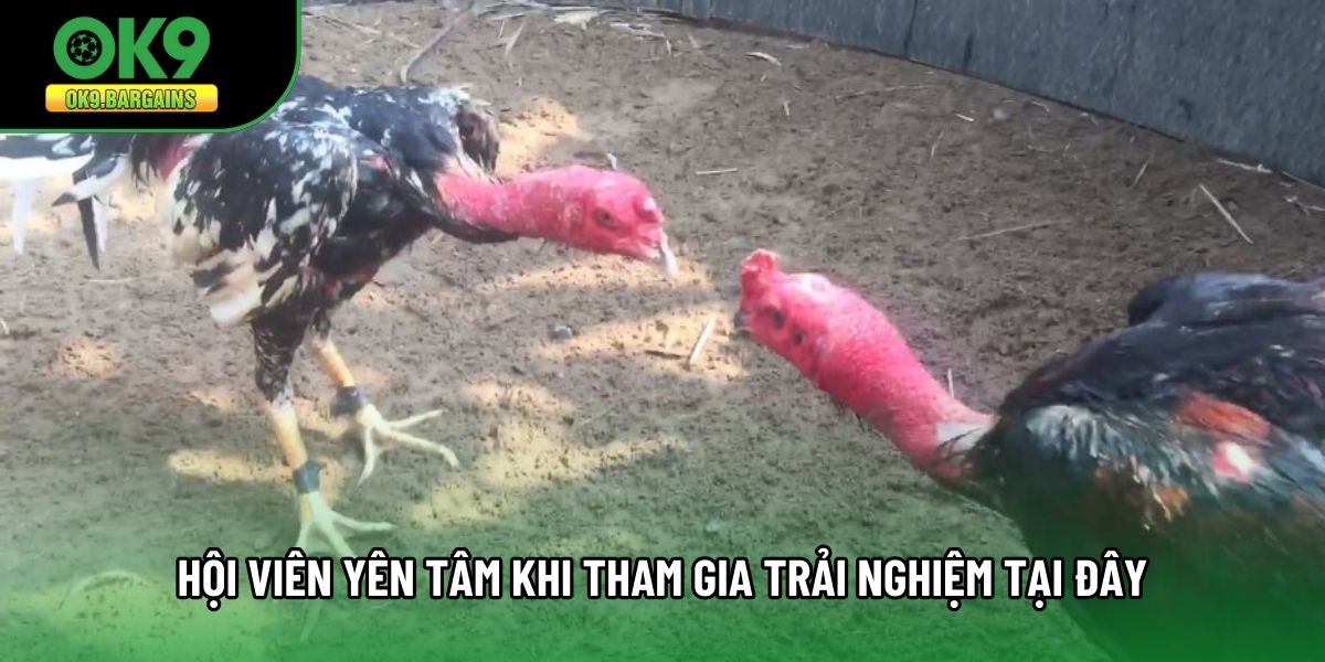 Hội viên yên tâm khi tham gia trải nghiệm tại đây