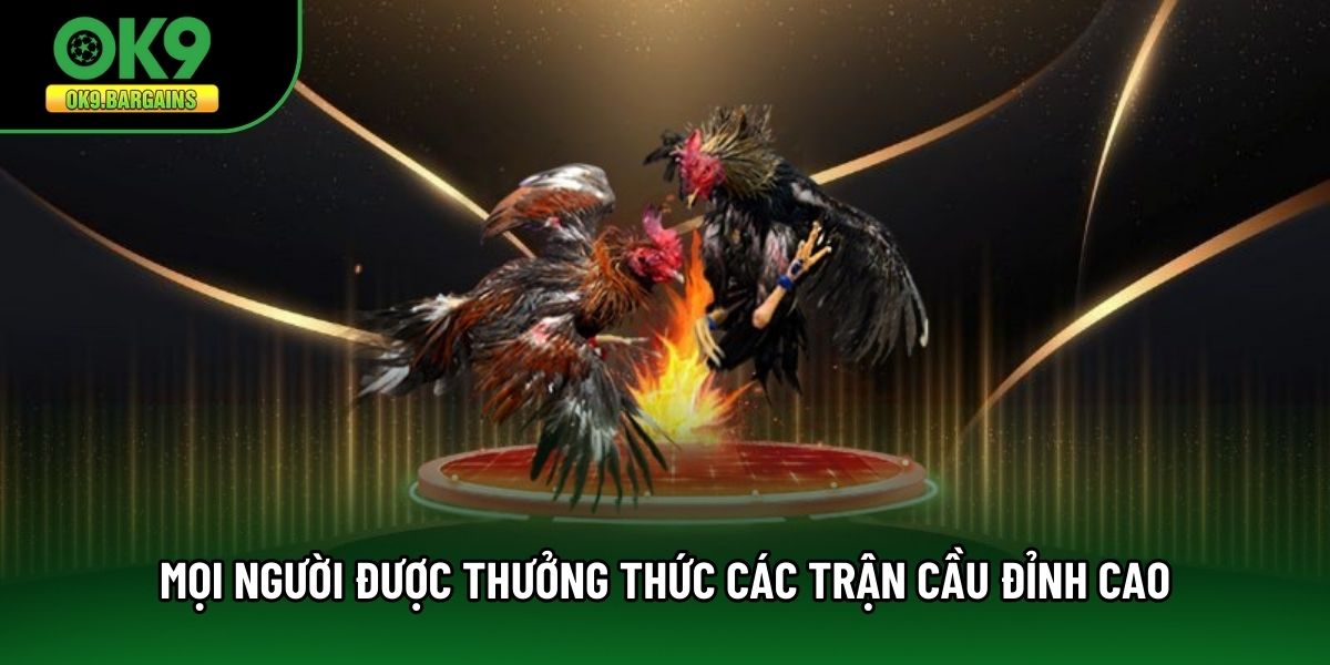 Mọi người được thưởng thức các trận cầu đỉnh cao