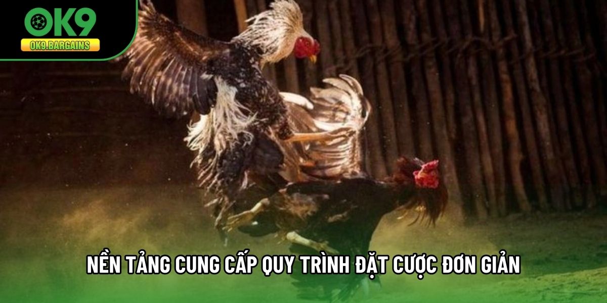 Nền tảng cung cấp quy trình đặt cược đơn giản