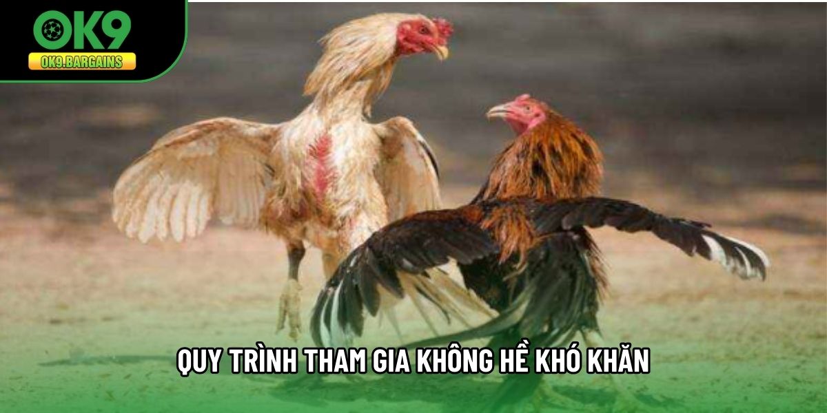 Quy trình tham gia không hề khó khăn