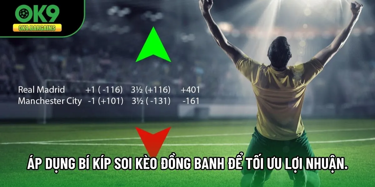 Bảng tỷ lệ cược hấp dẫn tại OK9 luôn được cập nhật liên tục