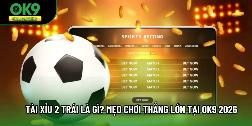 Tài Xỉu 2 Trái Là Gì? Mẹo Chơi Thắng Lớn Tại OK9 2026