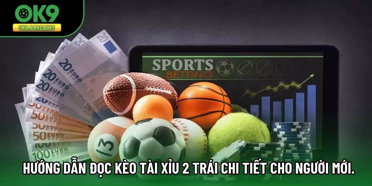 Hướng dẫn đọc kèo Tài Xỉu 2 Trái chi tiết cho người mới